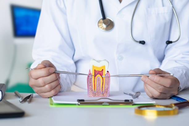 Best Pediatric Emergency Dentist in Parsons, KS